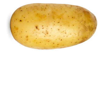 THE TATO PLACE