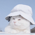 Marshmallow Squad Official