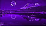 ~ Shooting Stars Boutique ~