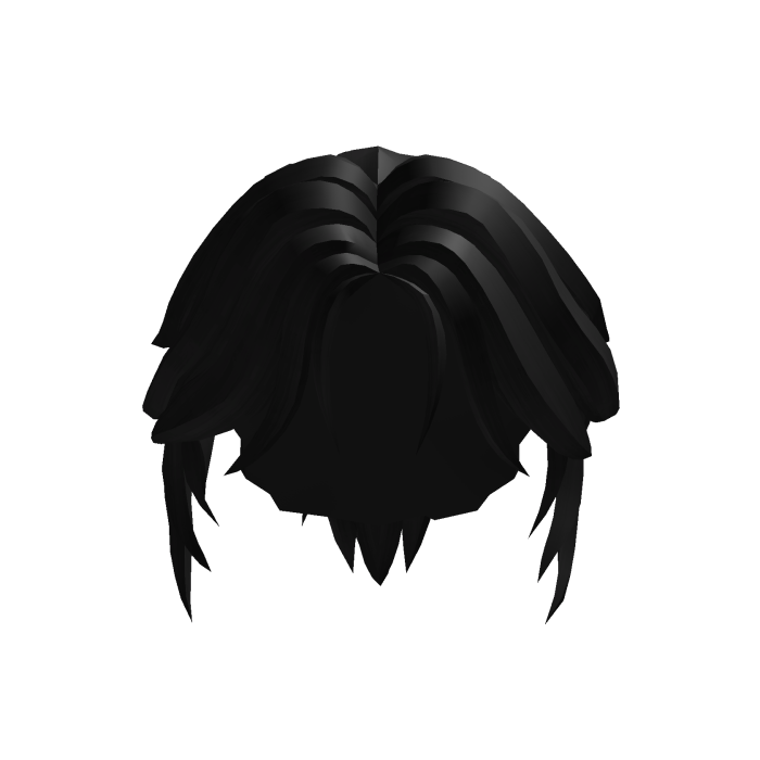 Neat PonyTail