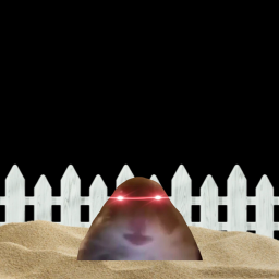 PATRICKS PLAY GROUND