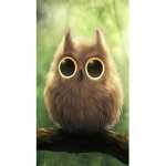 The Little Baby Owls