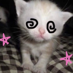 utsuki