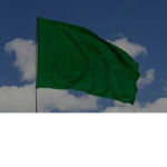 Green invasionarmy