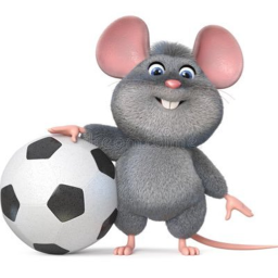 Rat fc pitch