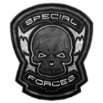 :// Squadrons