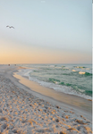 The beautiful waves