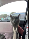 faaaaaaaah Group Thumbnail
