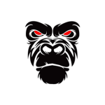 Zaru