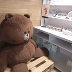 Teddy Studios!!