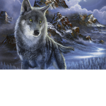 Virtuality Wolfs
