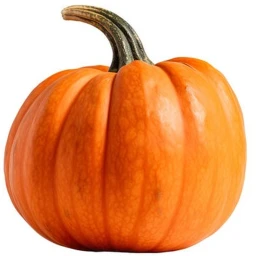 Spookiest Haunted Expedition icon