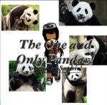 the one and only pandas!