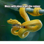 Zodiac Teddys