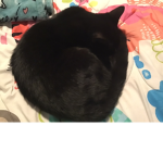 Twinkiefam