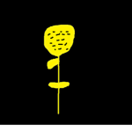 Golden Rozes