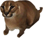 xpene