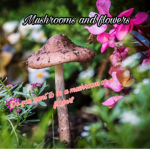 Flowers and mushrooms