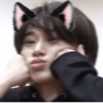 ᅠkitty