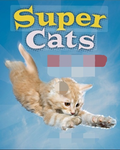 The SupaCats!