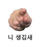 상어 친구들 용돈 그룹