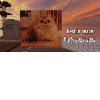 mój kot odszedł: (