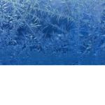 frosty blue team!