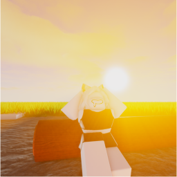 Simulation