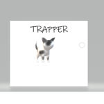 Trapper (the cat)