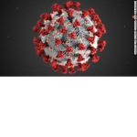Coronavirus Prevention