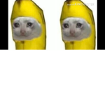 lorena meme xuxiu