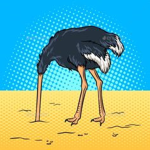 giraffe birds
