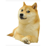 Doge Faction (only for doge #######