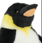 Chubby Penguin productions