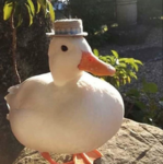 duck gamer brazil