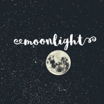 Moonlight's Fashions
