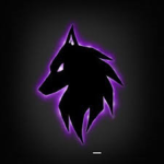 SHADOW_CLANN