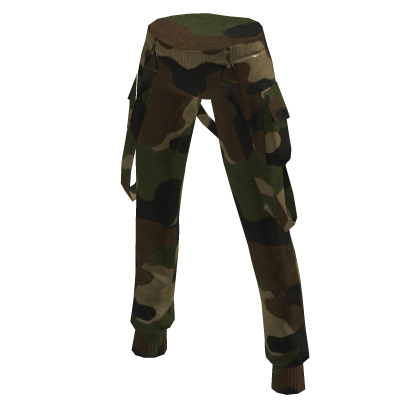 Camo Cargo Pants