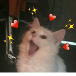 *Nikky Nicole*