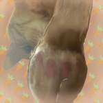Carrots Paws
