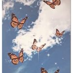~Serendipity Outfitters~