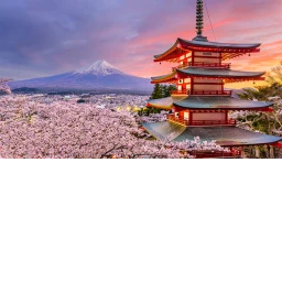  Japen  icon