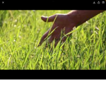 We touch grass