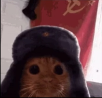 Server para pepe