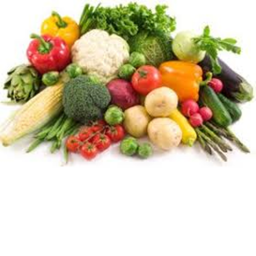 VEGETABLE LAND