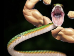 Strong Snake Army?