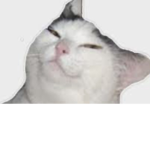 Smug Clan Roblox