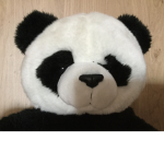Panda Culbs