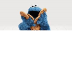 Mason’s Cookies