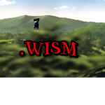 #wism’s group